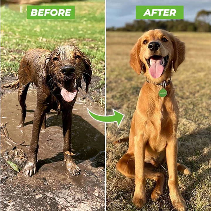 DOG WASHER GUN