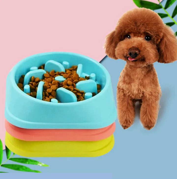PETS SLOW FEEDER DOG BOWL