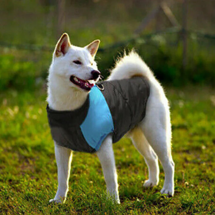 WATERPROOF WINTER DOG JACKET