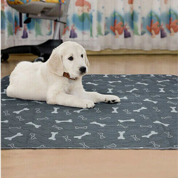 REUSABLE DOG/PUPPY TRAINING PEE PADS