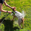 DOG WASHER GUN