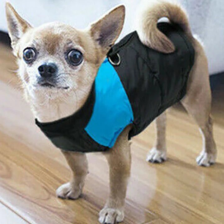 WATERPROOF WINTER DOG JACKET