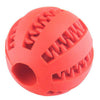 TEETH CLEANING DOG CHEW TREAT BALL