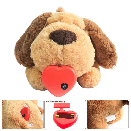 HEARTBEAT BUDDY FOR PETS