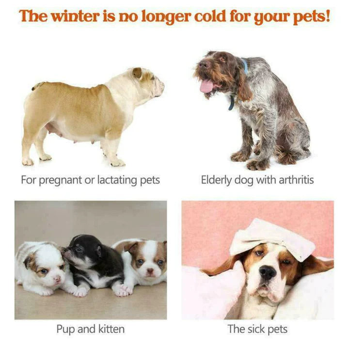 HEATED PET BED