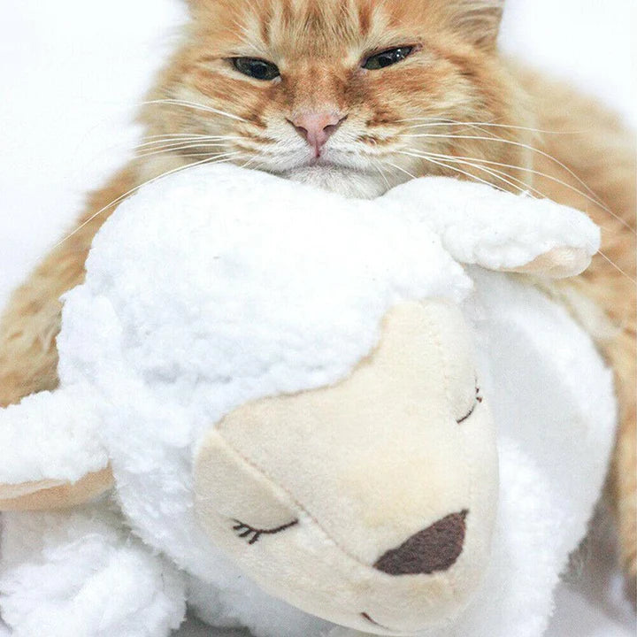 HEARTBEAT BUDDY FOR PETS