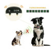 ELECTRIC DOG TRAINING COLLAR