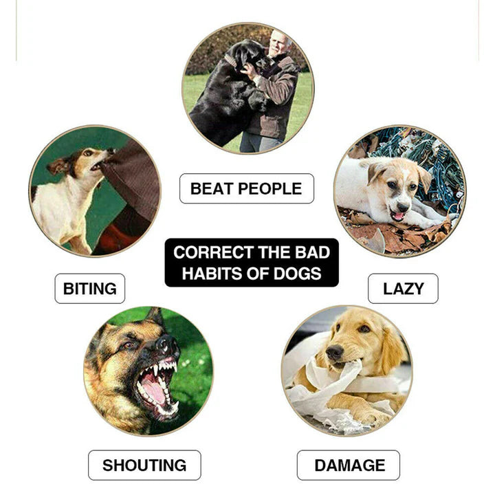 ELECTRIC DOG TRAINING COLLAR