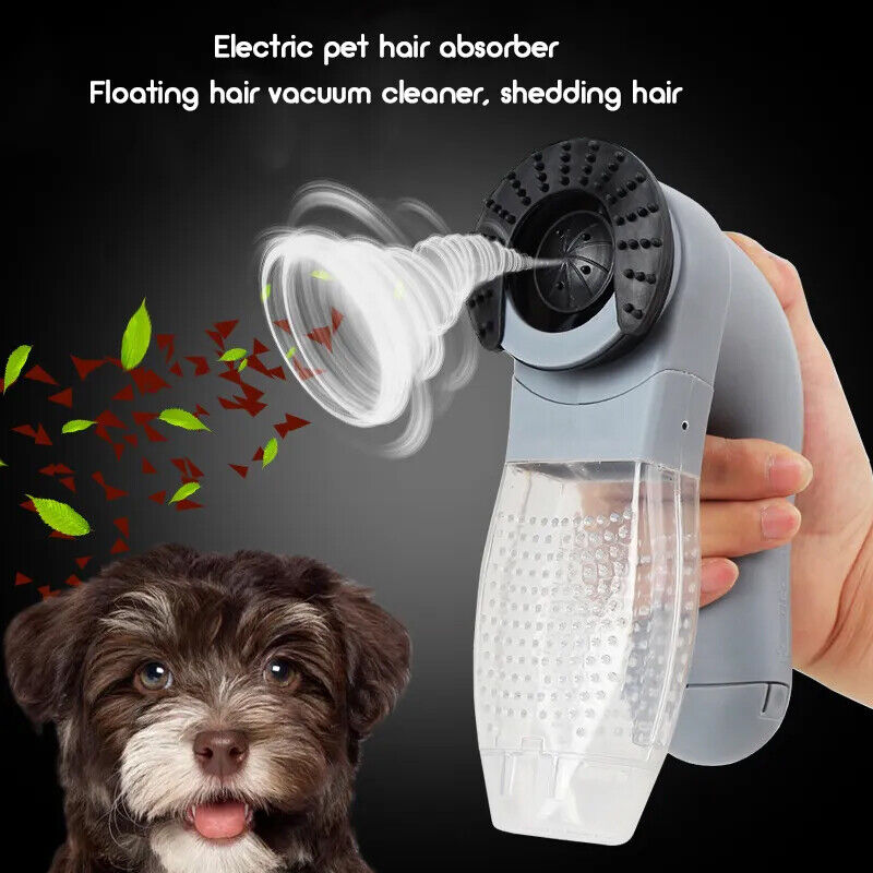 HANDHELD FUR VACUUM