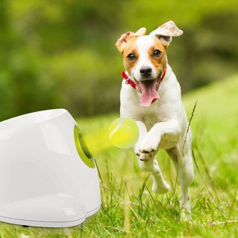 AUTOMATIC DOG BALL THROWER