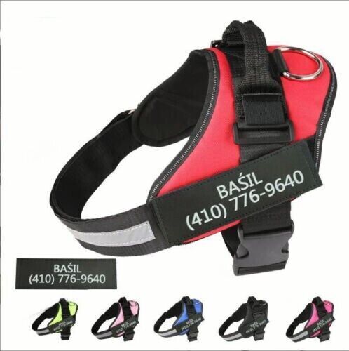 SAFETY NO PULL DOG HARNESS