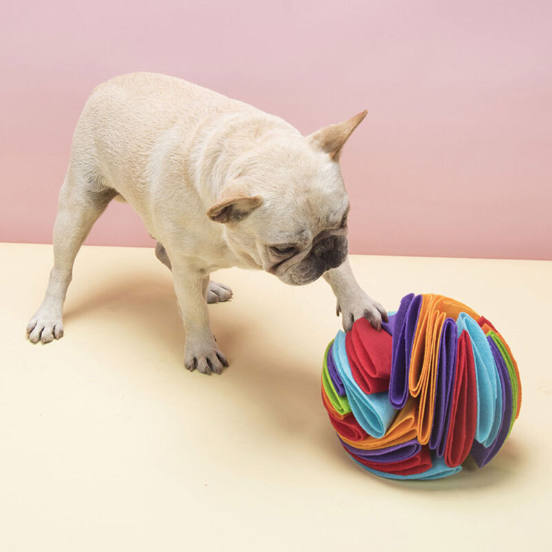 SNUFFLE DOG BALL