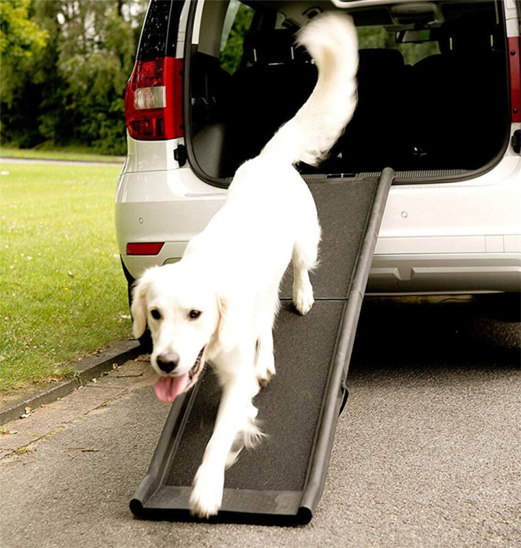 PORTABLE FOLDABLE DOG RAMP