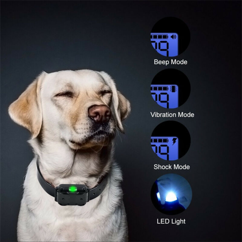 ELECTRIC DOG TRAINING COLLAR