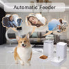 AUTOMATIC PET FEEDER AND WATER DISPENSER