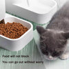 AUTOMATIC PET FEEDER AND WATER DISPENSER