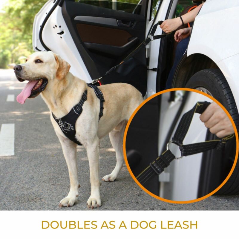 DOG SEAT BELT FOR CARS, HEADREST RESTRAINT