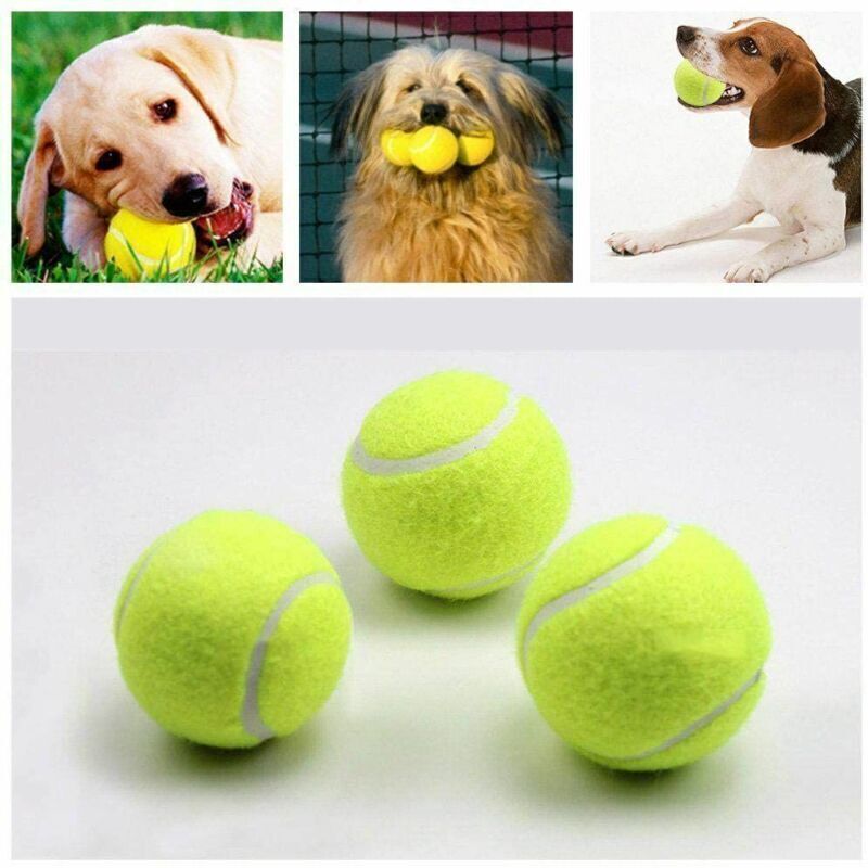 AUTOMATIC DOG BALL THROWER