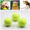 AUTOMATIC DOG BALL THROWER