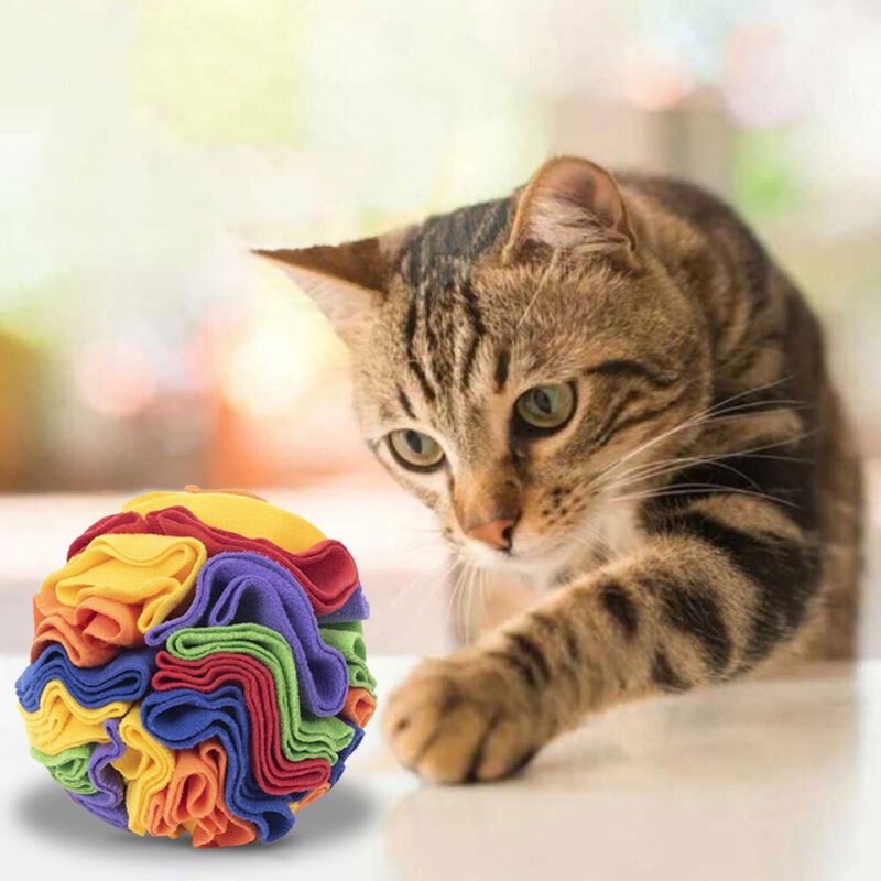 SNUFFLE DOG BALL