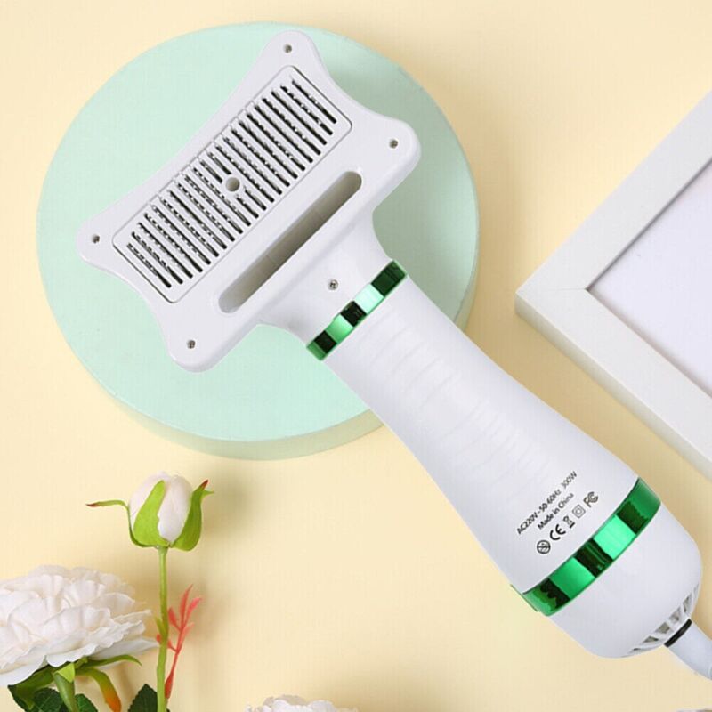 2-IN-1 PET HAIR DRYER BRUSH
