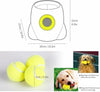 AUTOMATIC DOG BALL THROWER