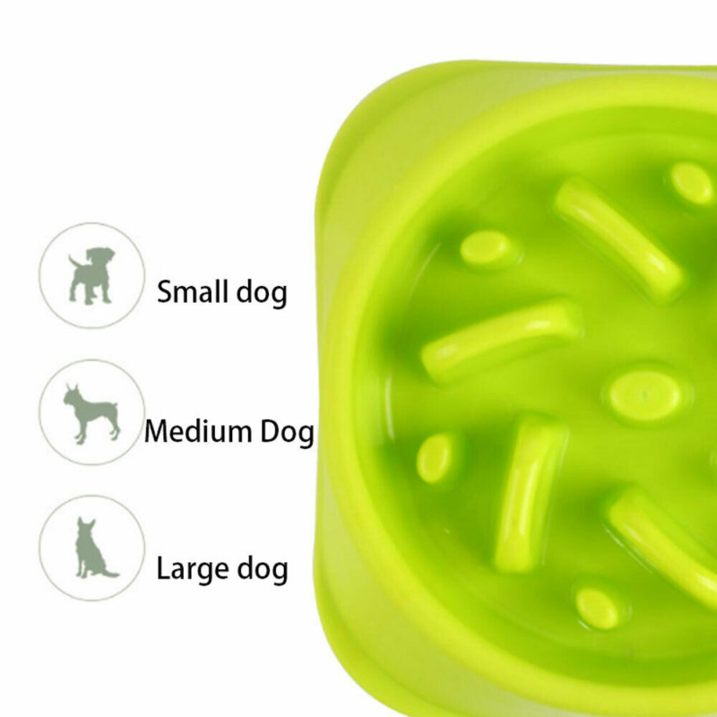 PETS SLOW FEEDER DOG BOWL