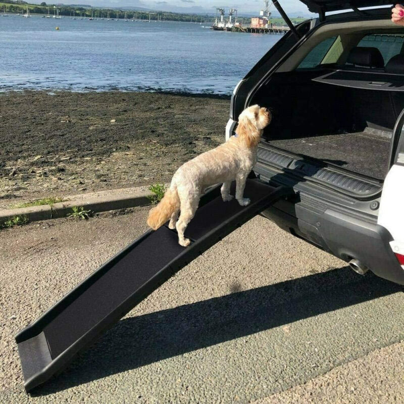 PORTABLE FOLDABLE DOG RAMP