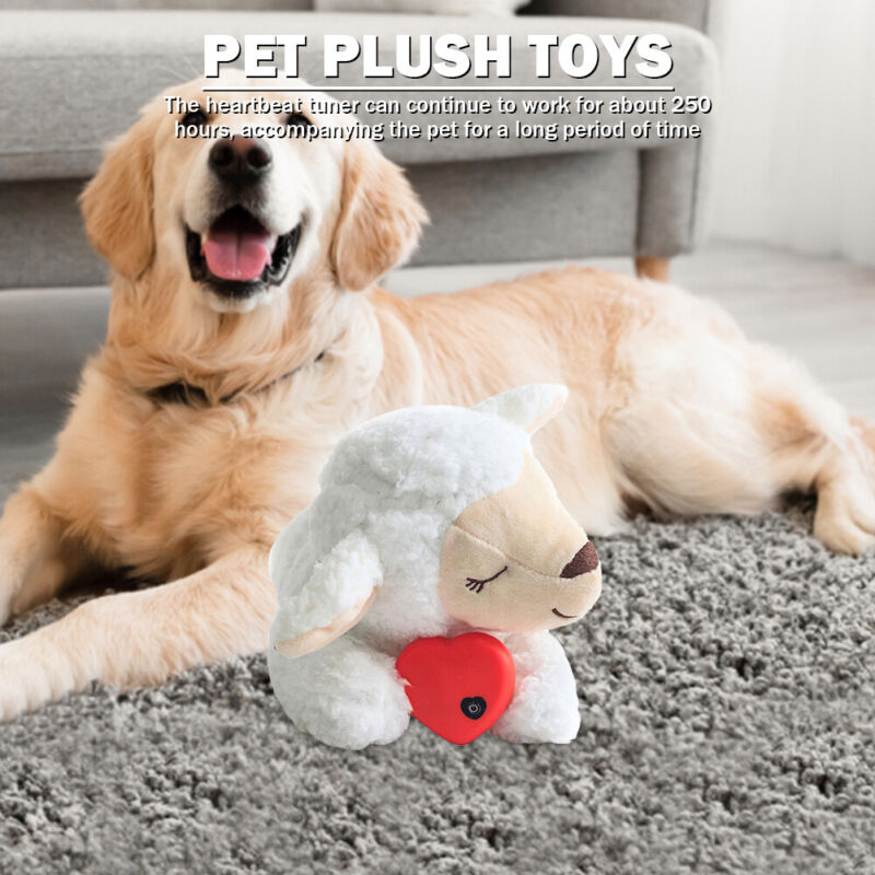 HEARTBEAT BUDDY FOR PETS