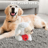HEARTBEAT BUDDY FOR PETS
