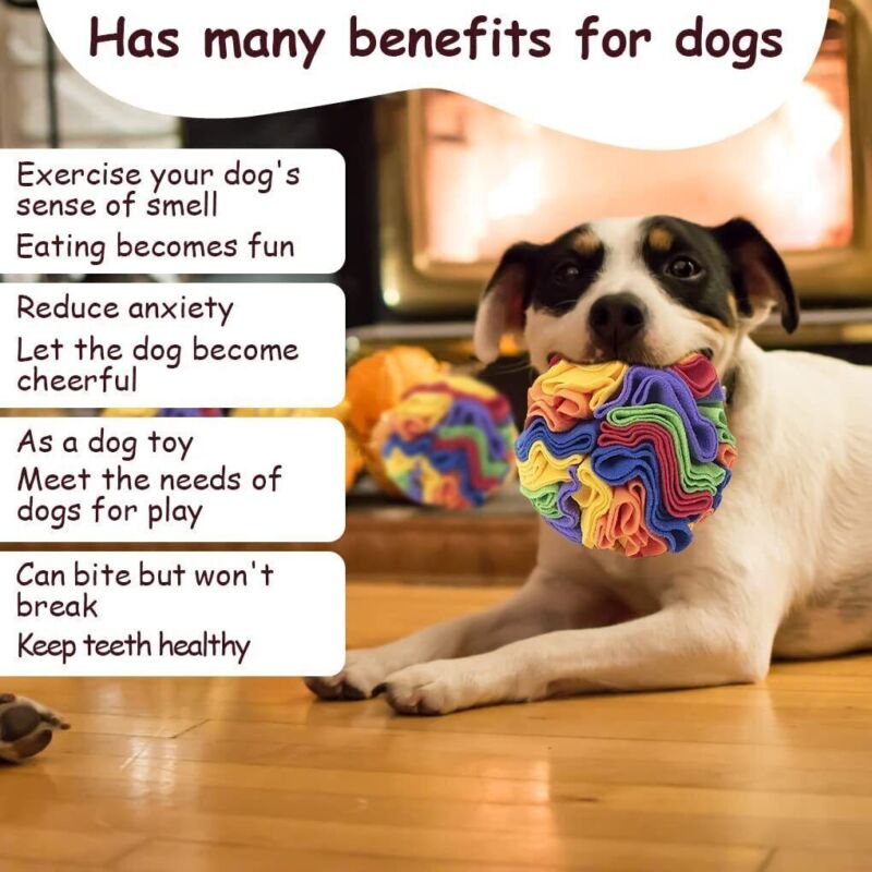 SNUFFLE DOG BALL
