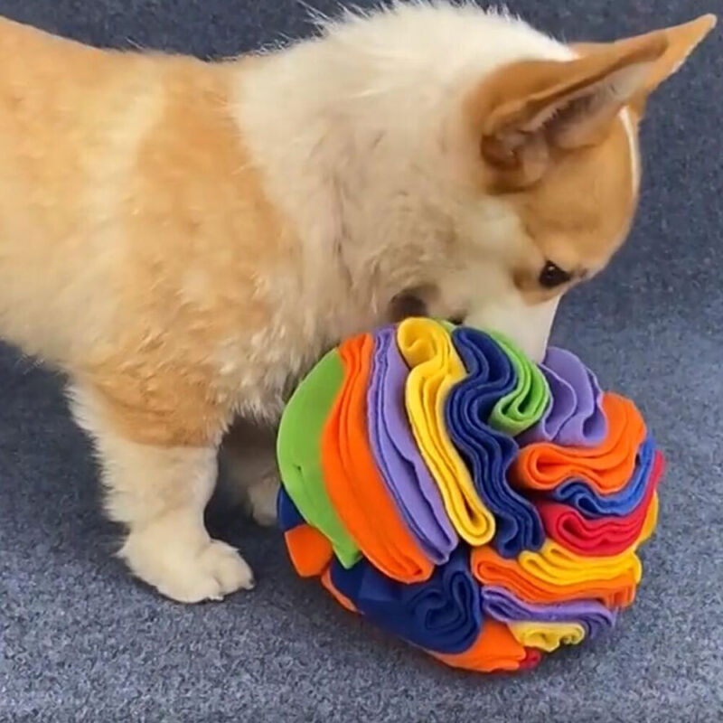 SNUFFLE DOG BALL