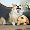 HEARTBEAT BUDDY FOR PETS