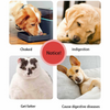 PETS SLOW FEEDER DOG BOWL