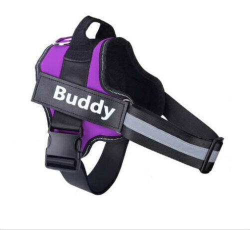 SAFETY NO PULL DOG HARNESS