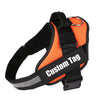 SAFETY NO PULL DOG HARNESS