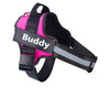 SAFETY NO PULL DOG HARNESS