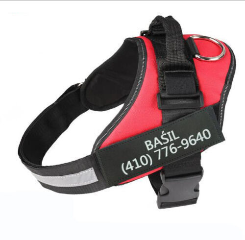 SAFETY NO PULL DOG HARNESS